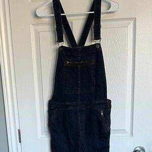 Free People Dark Blue Denim Overalls
